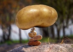 « Patate » / Exposition collective