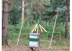 LE BOIS DE SHAREWOOD, MATALI CRASSET, BOIS DE MONTROSIES, NEGREPELISSE