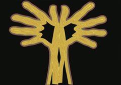 « The Lament of the Accolade Tree » / Shipsides & Beggs projects